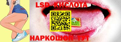 прущие грибы Моздок