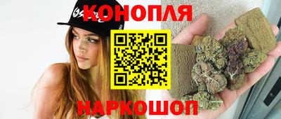 прущие крисы Можга
