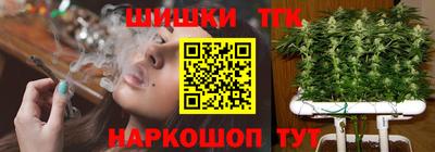 прущие грибы Моздок