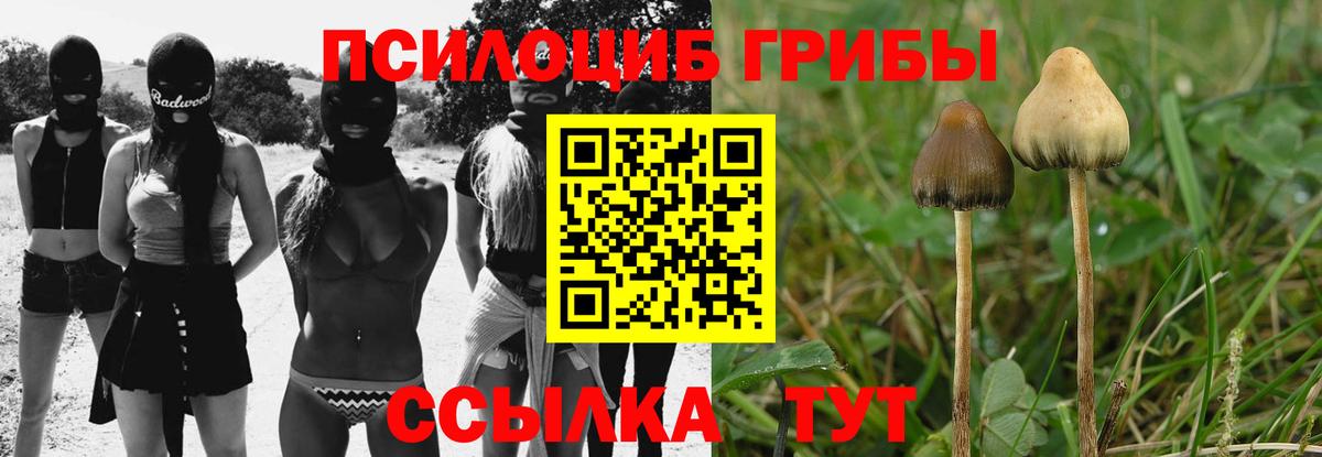 Галлюциногенные грибы мицелий  Галлюциногенные грибы мицелий  Шарыпово  Вход с VPN 